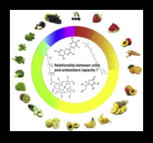 Her Renkte Sağlık: Antioksidanların Yelpazesi